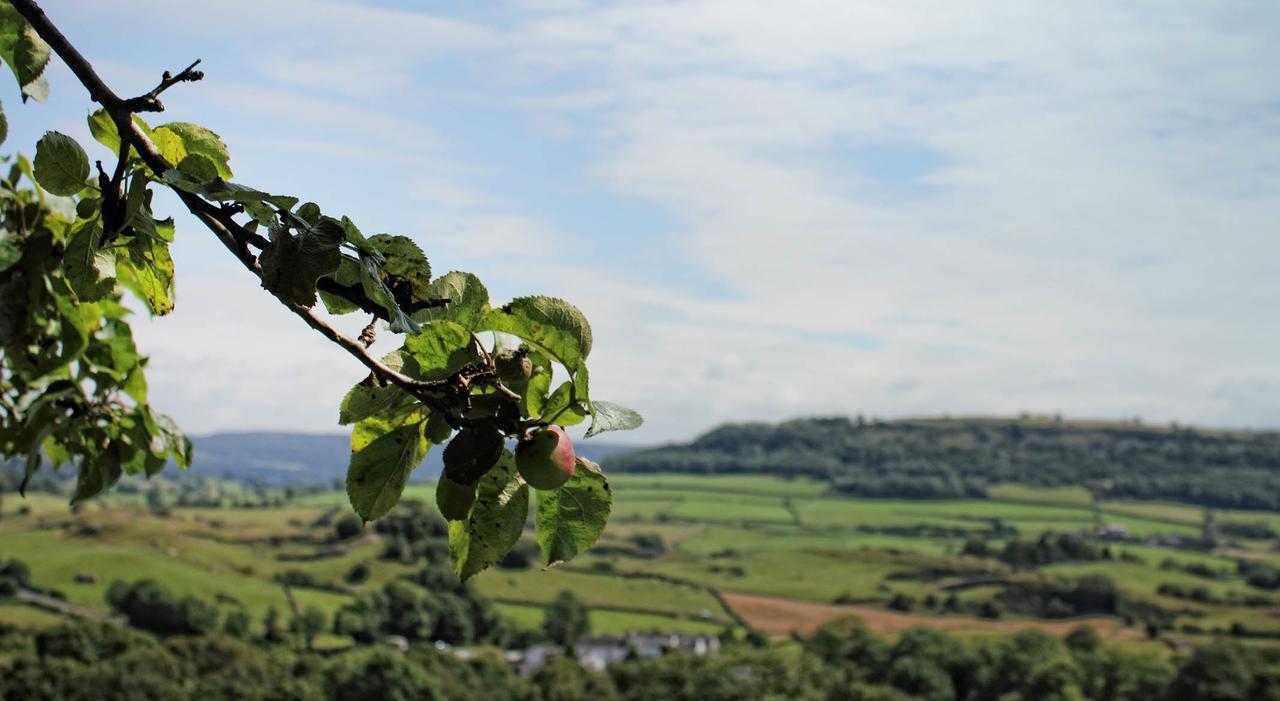 Mason'S Arms Otel Bowland Bridge Dış mekan fotoğraf
